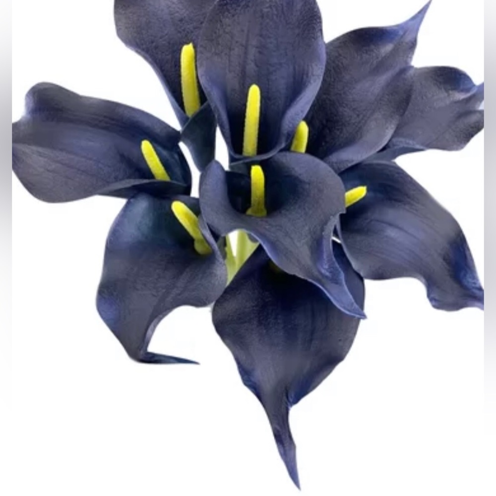 “Navy Calla Lily Petals” Blue Pressed Preserved Dried Flower Gold Flake Orb Stud - Picture 4 of 14